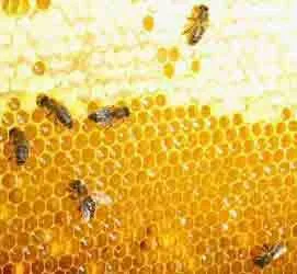  мед от 90р/кг в Казани